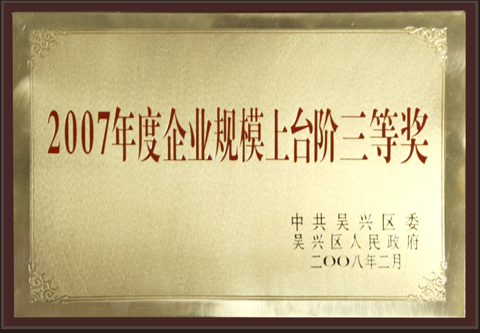 2007年度企业规模上台阶三等奖