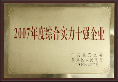 2007年度综合实力十强企业